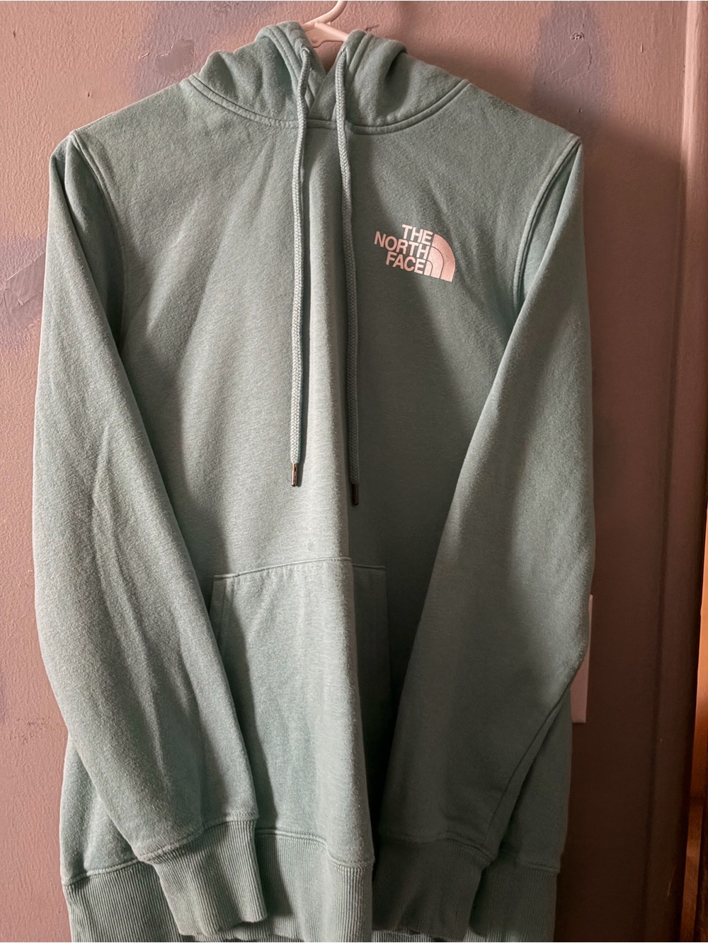 The North Face Men's Crewneck Hoodie in Sage Green